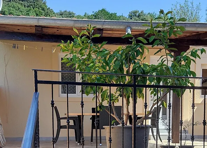 Sandra * 브르사르